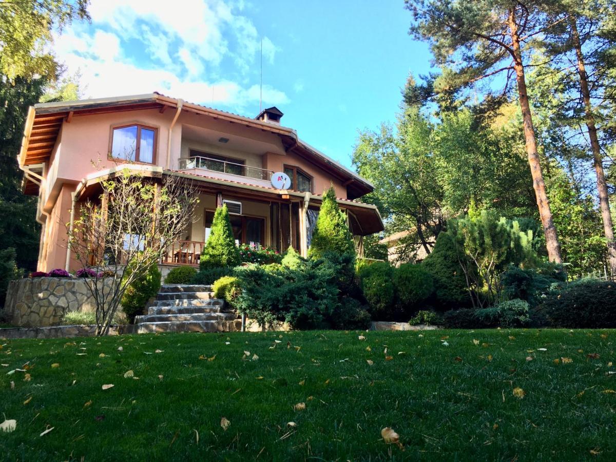 Luxury Villa Borina Zheleznitsa Exterior foto