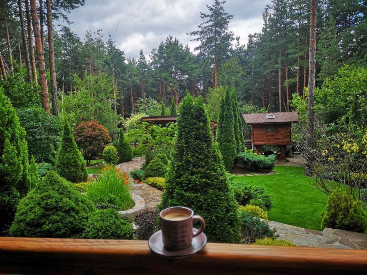 Luxury Villa Borina Zheleznitsa Exterior foto