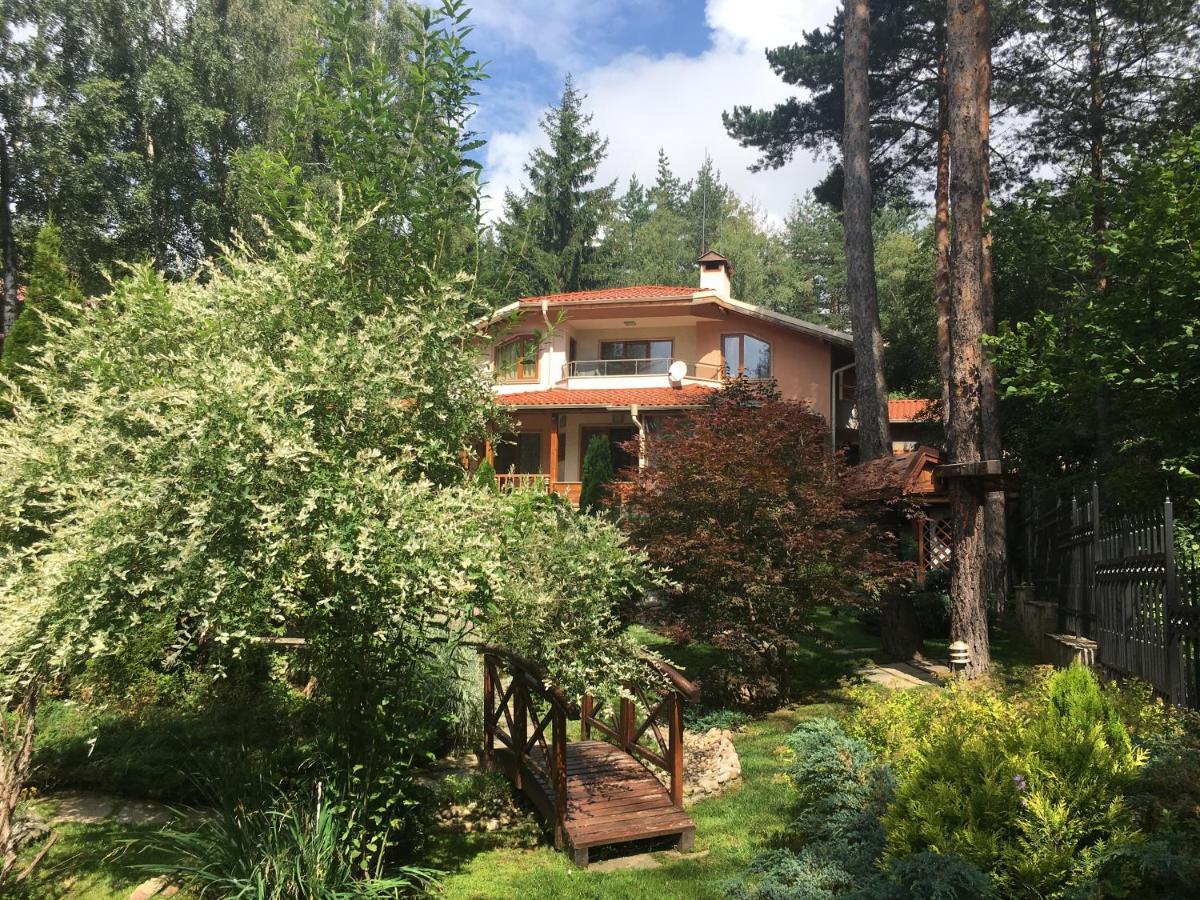 Luxury Villa Borina Zheleznitsa Exterior foto