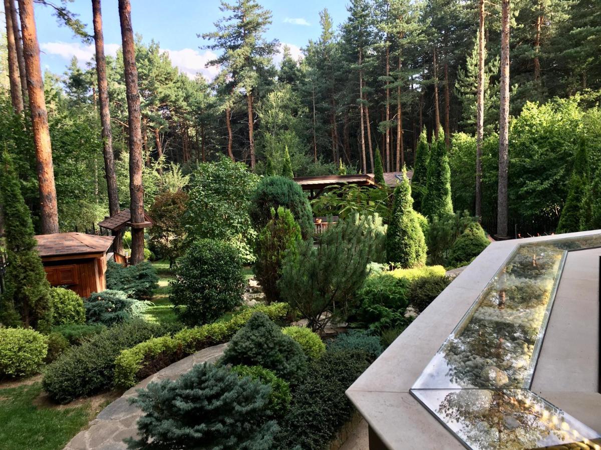 Luxury Villa Borina Zheleznitsa Exterior foto