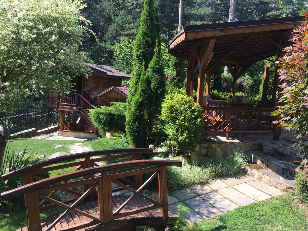Luxury Villa Borina Zheleznitsa Exterior foto