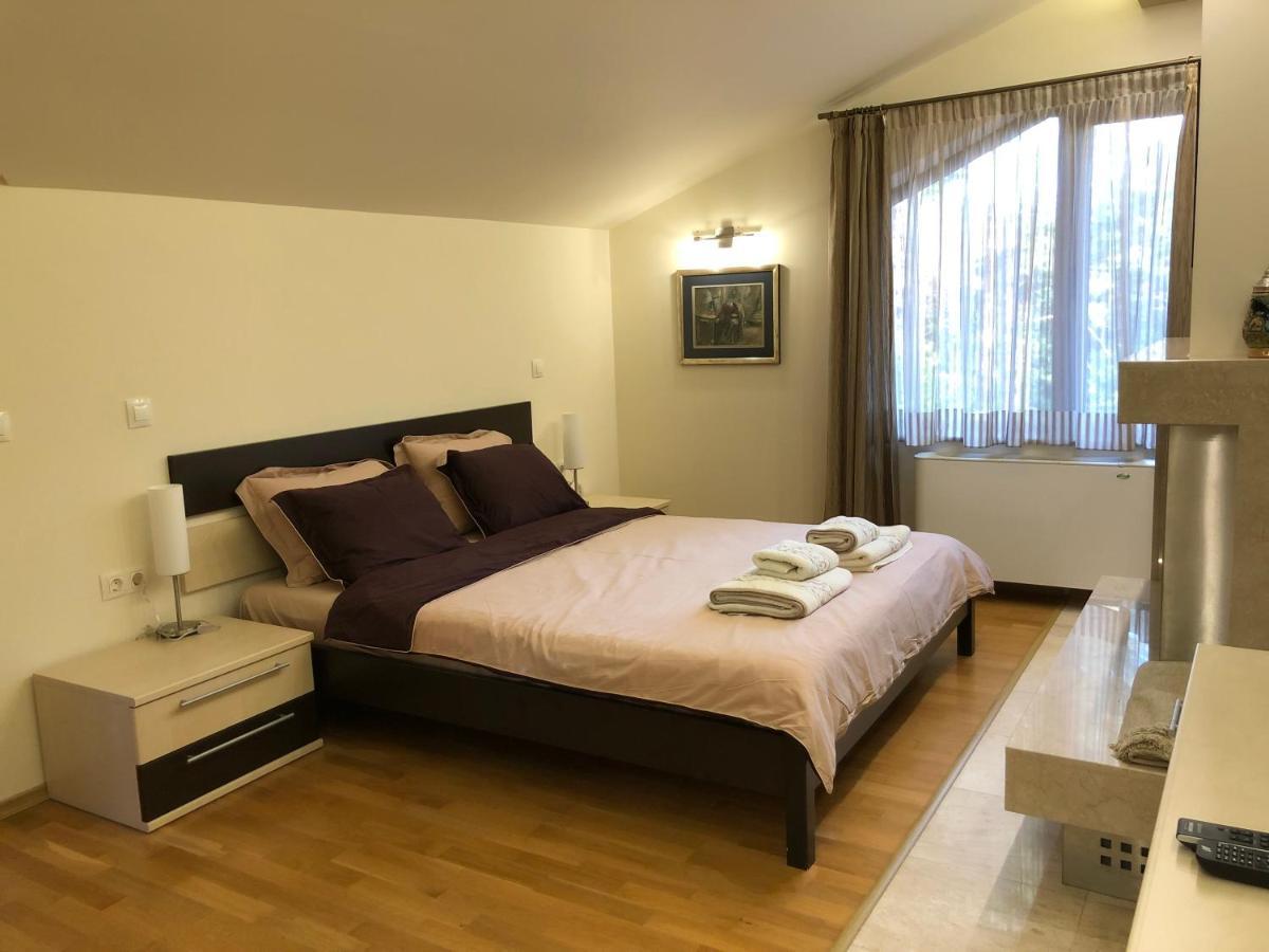 Luxury Villa Borina Zheleznitsa Exterior foto